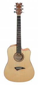acoustic guitar